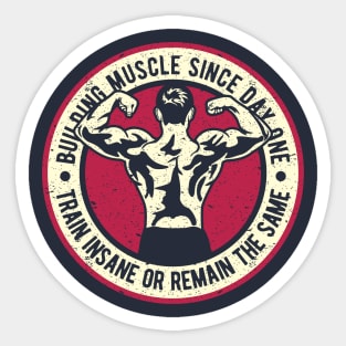 Train Insane Or Remain The Same Building Muscle Since Day One Sticker